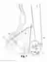 Fig. 07 - Compound bow system