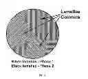Fig. 08 - Classes of steels for tubular products