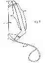 Fig. 02 - Gun hood