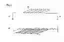 Fig. 05 - STRIP, METHOD FOR MANUFACTURING THE SAME, AND METHOD FOR MANUFACTURING PNEUMATIC TIRE