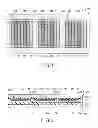 Fig. 05 - Method of manufacturing display device