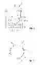 Fig. 03 - PAPERMAKING SCREEN APPARATUS