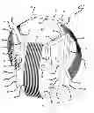 Fig. 01 - Thermal straps for spacecraft