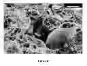 Fig. 09 - Hydraulic fracturing