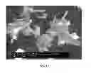 Fig. 11 - Hydraulic fracturing