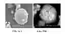 Fig. 19 - Hydraulic fracturing