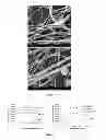 Fig. 07 - Method of making conducting polymer nanofibers