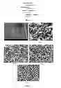 Fig. 08 - Method of making conducting polymer nanofibers