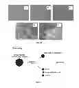 Fig. 11 - Method of making conducting polymer nanofibers
