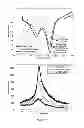 Fig. 19 - Method of making conducting polymer nanofibers