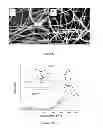 Fig. 21 - Method of making conducting polymer nanofibers