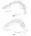Fig. 04 - Impregnated bit with improved cutting structure and blade geometry