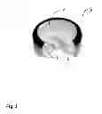 Fig. 04 - Lubrication device and protective cover for a lubrication device