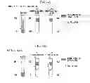 Fig. 05 - Electrolysis water-making apparatus