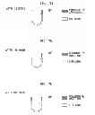 Fig. 12 - Electrolysis water-making apparatus