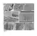 Fig. 04 - Electrochemical liquid-liquid-solid deposition processes for production of group IV semiconductor materials