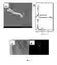 Fig. 08 - Electrochemical liquid-liquid-solid deposition processes for production of group IV semiconductor materials