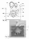 Fig. 04 - Container with presentation element