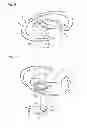 Fig. 09 - Wet tissue package