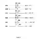 Fig. 30 - Recirculating dialysate fluid circuit for blood measurement