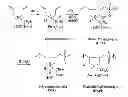 Fig. 01 - CALCIUM SALFATE SCALE -INHIBITING COMPOSITIONS