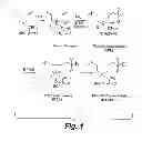 Fig. 02 - CALCIUM SALFATE SCALE -INHIBITING COMPOSITIONS
