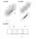 Fig. 44 - System and method for particle filtration