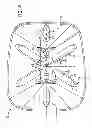 Fig. 05 - Molded ribs for an agricultural implement tank