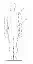 Fig. 01 - Object holder band