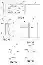 Fig. 03 - GARMENT STRAP ENGAGEABLE STORAGE AND CARRYING DEVICE
