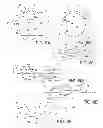Fig. 09 - Separable or opening portions for printable sheet material