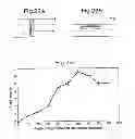Fig. 10 - Electromagnetic Enhancement and Decoupling