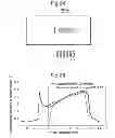Fig. 11 - Electromagnetic Enhancement and Decoupling
