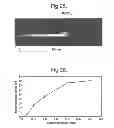Fig. 12 - Electromagnetic Enhancement and Decoupling