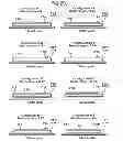 Fig. 14 - Electromagnetic Enhancement and Decoupling