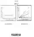 Fig. 12 - ICE PROTECTION SYSTEM
