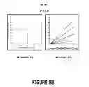 Fig. 25 - ICE PROTECTION SYSTEM