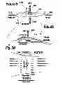 Fig. 03 - Aircraft with integrated lift and propulsion system