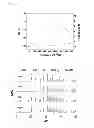 Fig. 03 - METHOD OF STABILIZING ALPH-SIALON PHOSPHOR RAW POWDER, ALPH-SIALON PHOSPHOR COMPOSITION OBTAINED THEREFROM, AND METHOD OF MANUFACTURING ALPHA-SIALON PHOSPHOR