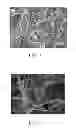 Fig. 04 - Method for forming vapor grown graphite fibers composition and mixture formed by the same and applications thereof