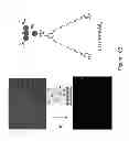 Fig. 20 - Regenerative nanosensor devices