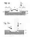 Fig. 03 - Apparatus and method for making OLED lighting device
