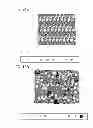Fig. 16 - Semiconductor device