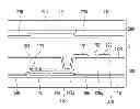 Fig. 01 - Thin film transistor array panel including angled drain regions