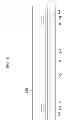 Fig. 09 - Thin film transistor array panel and manufacturing method thereof