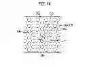 Fig. 22 - Light emitting device and light emitting device package