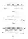 Fig. 04 - SELF-ALIGNED DOUBLE PATTERNING FOR MEMORY AND OTHER MICROELECTRONIC DEVICES