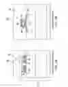 Fig. 10 - Photonics device and CMOS device having a common gate