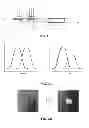 Fig. 02 - Integrated circuit and manufacturing method