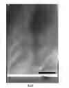 Fig. 12 - Methods for fabricating three-dimensional nano-scale structures and devices